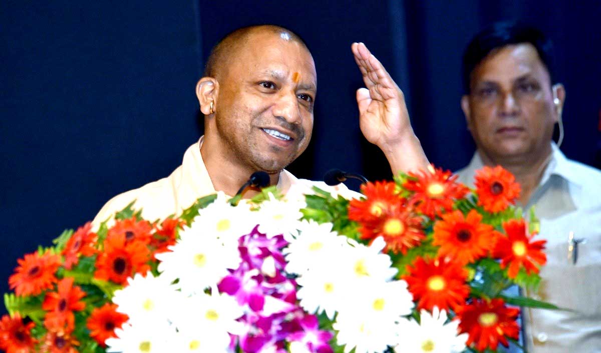 yogi