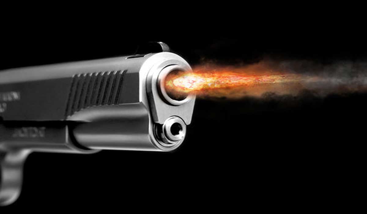 gun