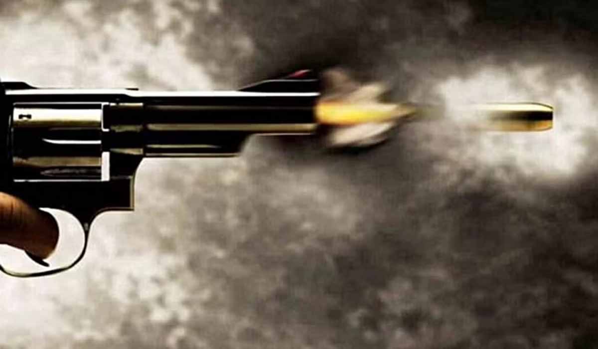 gun