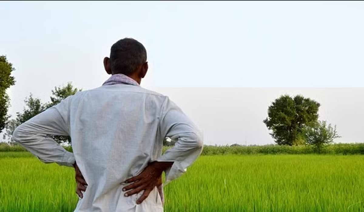 kisan