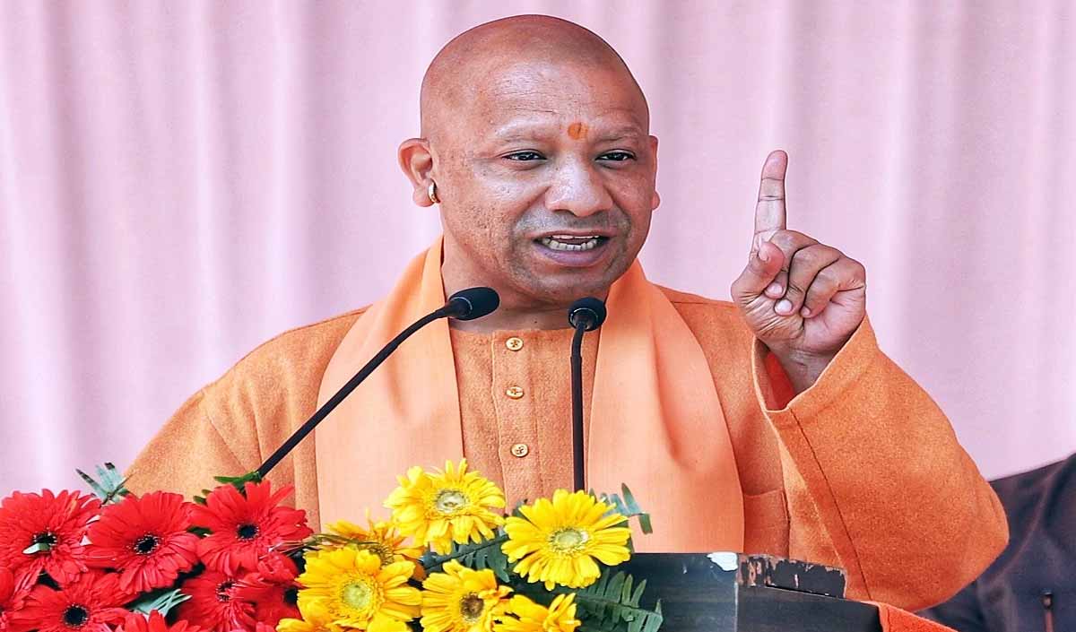 yogi