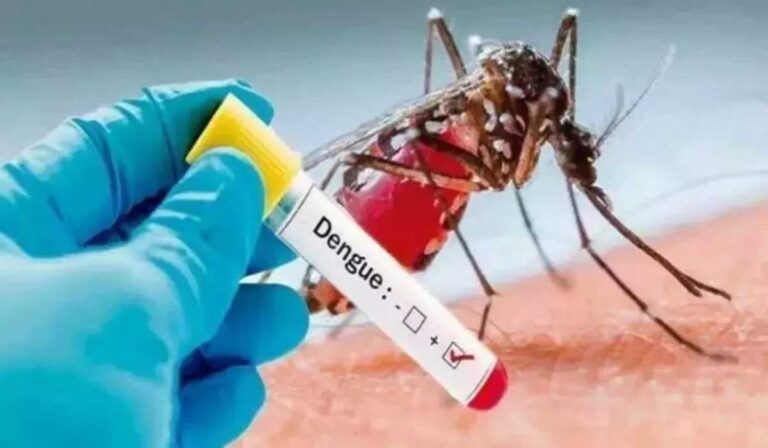 dengue