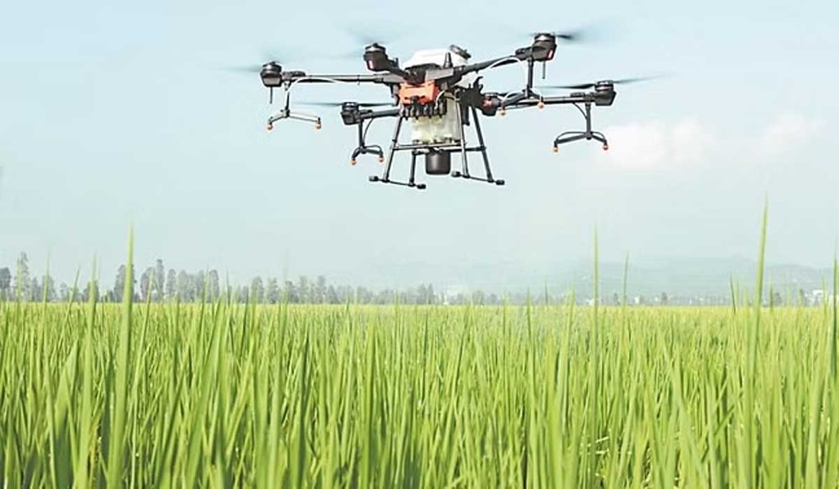 drone