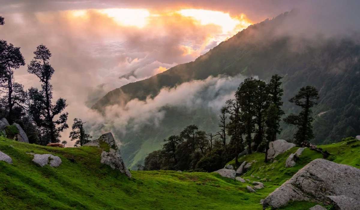 nature_0