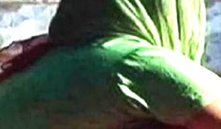 Untitled-5XXDDSUIPKH