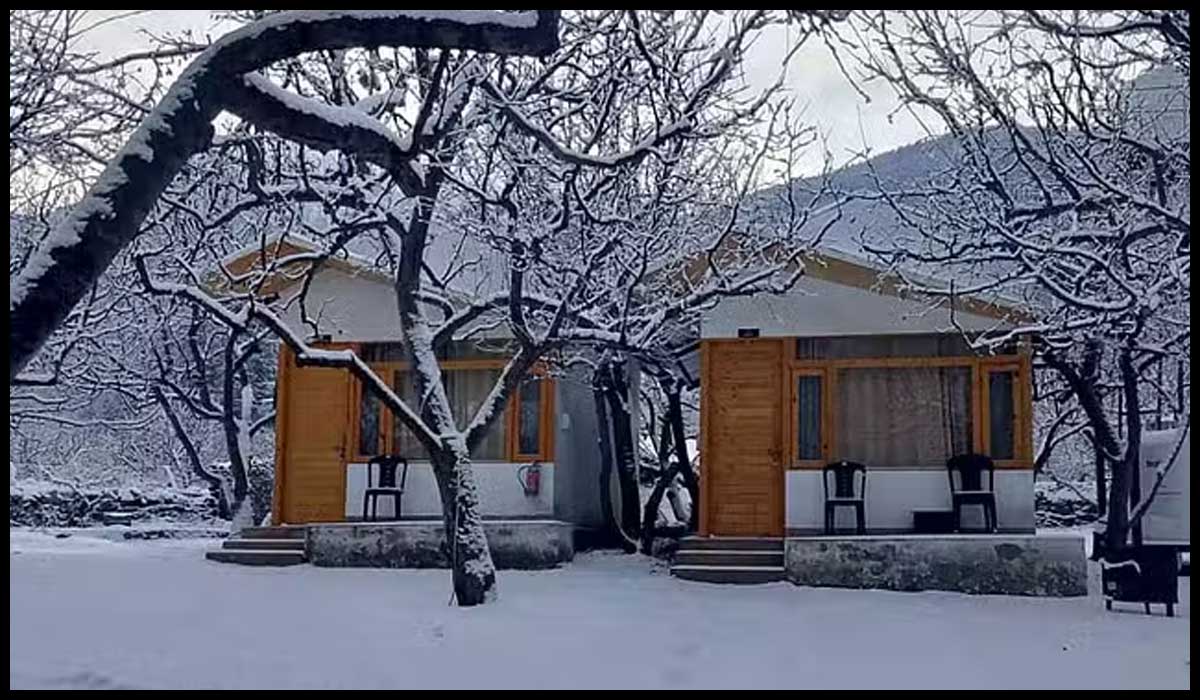 Untitled-2