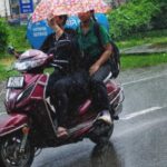 Untitled-2